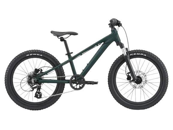 A stp 20 fs kids bike in trekking green color, with kenda tires both in the front and back.