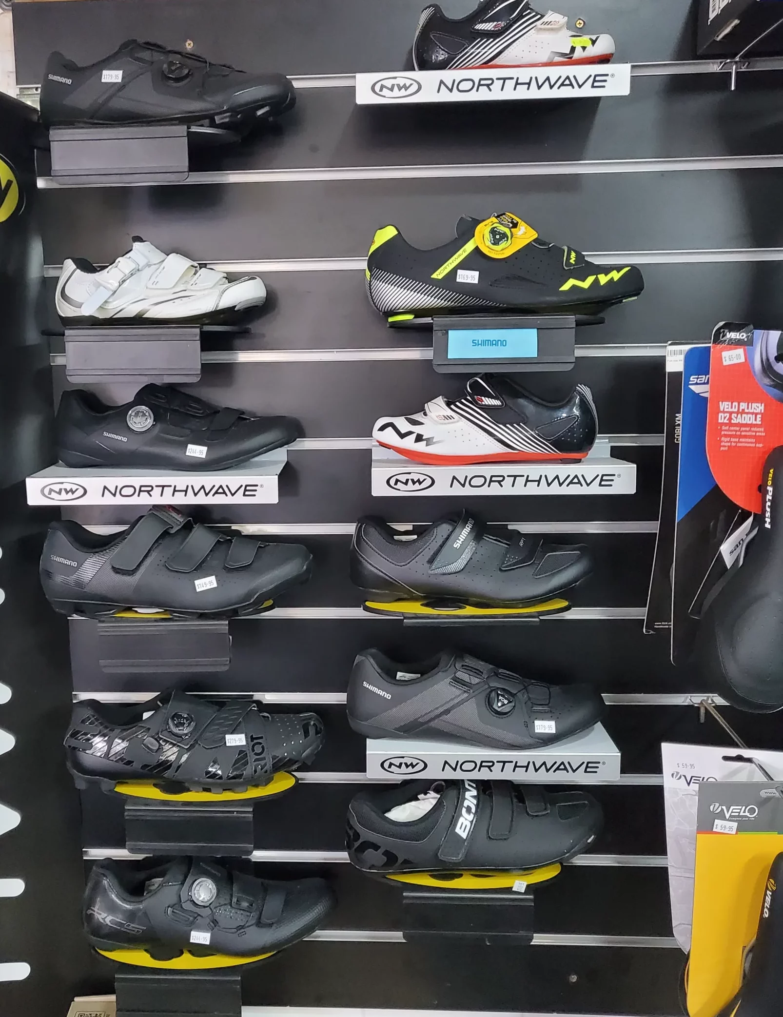 A shoe brand called northwave offering different colors and styles.