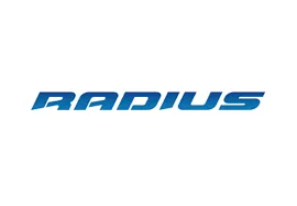 A brand logo named radius in blue color with a white background.